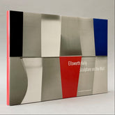 Ellsworth Kelly: Sculpture on the Wall